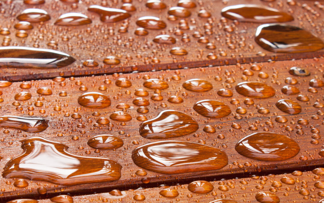 Should I Stain My Deck?