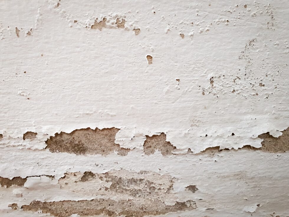 How To Deal With Lead Paint In Older Homes? Prim Painting